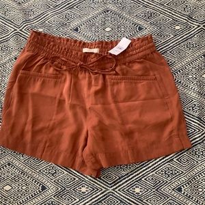 NWT burnt orange loft shorts